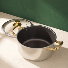 Stainless Steel Stockpot with free matching lid